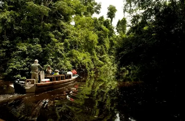 amazon river peru
